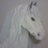 IRIANA DE ARAUJO ROCHA