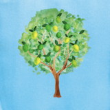 Kathy Hodge Procopio Laskowski