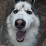 Bruna Cristina Gamberini Barbosa