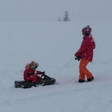 Andreza Custodio Rodrigues