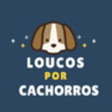 Loucos por cachorros