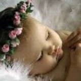 clarissa pernambuco peixoto da silva