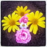 Graziela da Silva Santos