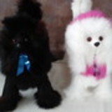 CLARIJOEL ARTESANATO