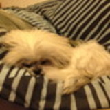 kaue ian pirondi tedesco