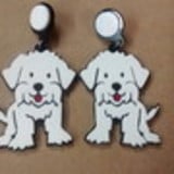 edilene de oliveira silva