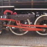 Carmen Cibele Ferreira