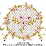 Dineia de jesus dos santos