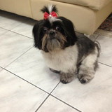 Jessica Ferreira Simões