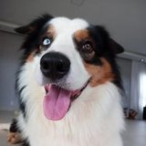 Lilian Tiemi Waku Terner