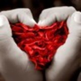 ALINE DANIELE DANTAS ELLER DE OLIVEIRA