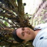 Veronica Barbosa E Silva