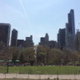 Juliana Angelini Gonzaga