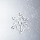 Jacqueline carla de macedo dias