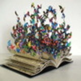 Renata Aparecida Pinto