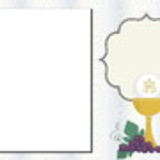 Giuliana Garavaglia Assis de Souza