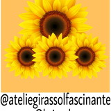 adriana silva pereira