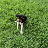 Ana Claudia Marchiori