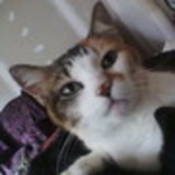 Margaret Soler de Leoni