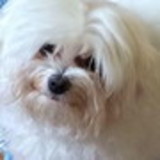 Maria Caterina Puddu