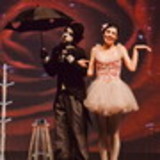 Cylene Aparecida Penhavel