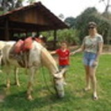 Rosane Giasson Giasson