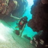 Sabrina de Mello Tuão