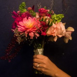 leticia rodrigues lima da rosa