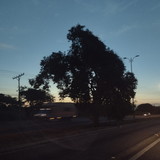 elida campos da silva