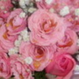 DANIELA BORTOTI BOLSONI