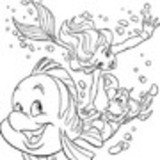 Fernanda Rodrigues Ferreira Guimaraes