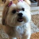 SANDRA LUCIA DE ALMEIDA JACON