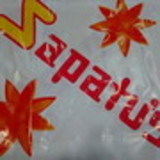 Marcia Regina Pereira