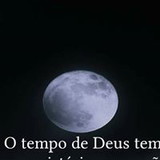 Maria Josineide Ribeiro