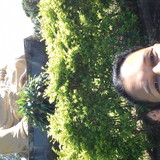 Suely Borges de Azevedo Kavamoto