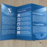 ANDERSON MARTINS RIBEIRO DA SILVA