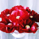 Personalize - Forminhas de Luxo