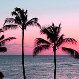 Roseni Soares Santos