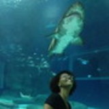 Dayana Miranda Bandeira