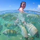 Viviane Ribeiro Cunha