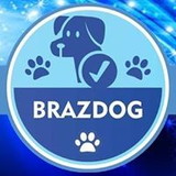 Brazdog Brazdog