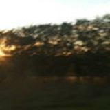 Marinez Lobão Torres e silva