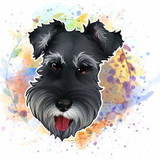 Meus Amigos Amigurumis