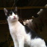 Madelline Christie R N da S