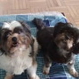 Anna Christina Fregnani