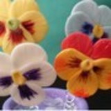 Marlene de Jesus Nunes Netto