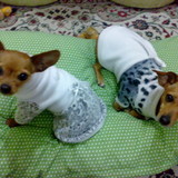 Luciane de Souza Hecht