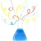 Larissa Juliana Tortora da Silva