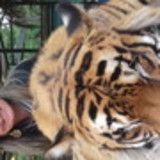 Michelly Santarello Melgaço Teles