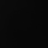 Karina Fanhani Teles